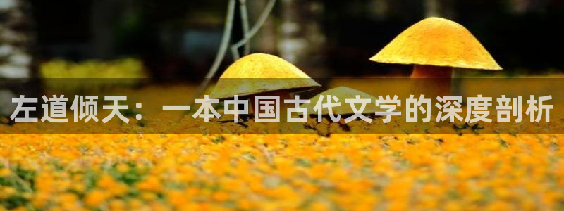 左道倾天：一本中国古代文学的深度剖析